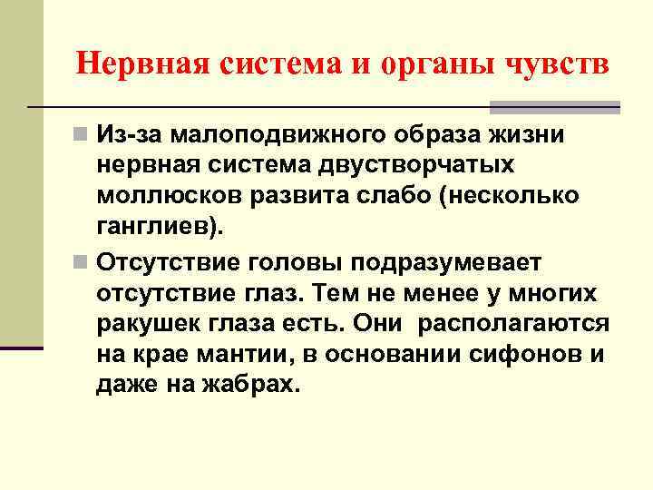 Нервная система и органы чувств n Из-за малоподвижного образа жизни нервная система двустворчатых моллюсков