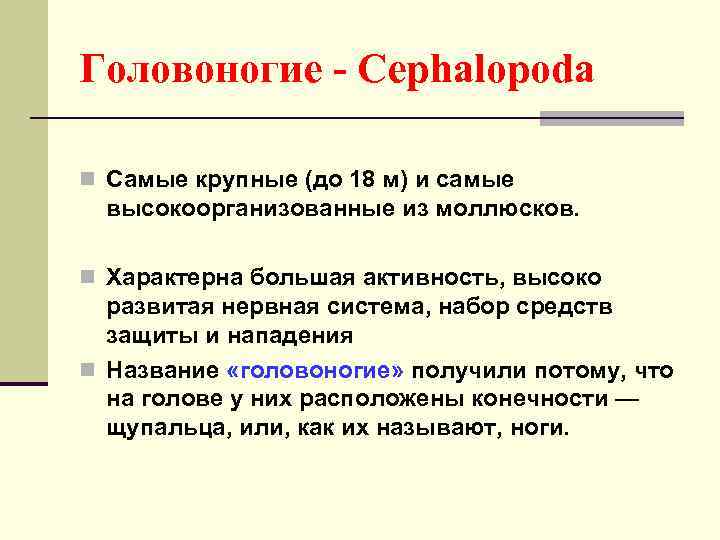 Головоногие - Cephalopoda n Самые крупные (до 18 м) и самые высокоорганизованные из моллюсков.