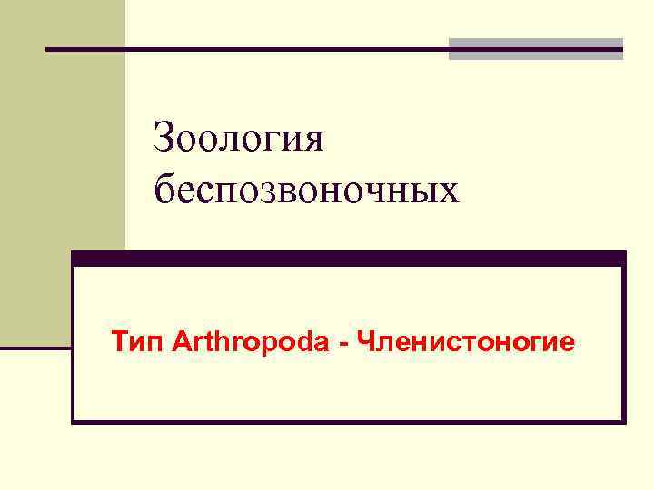 Зоология беспозвоночных Тип Arthropoda - Членистоногие 
