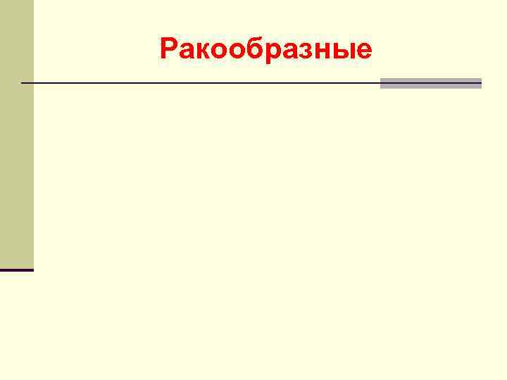 Ракообразные 