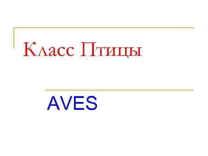 Класс Птицы AVES 