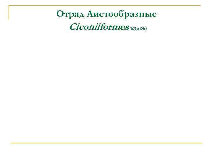 Отряд Аистообразные Ciconiiformes видов) (113 