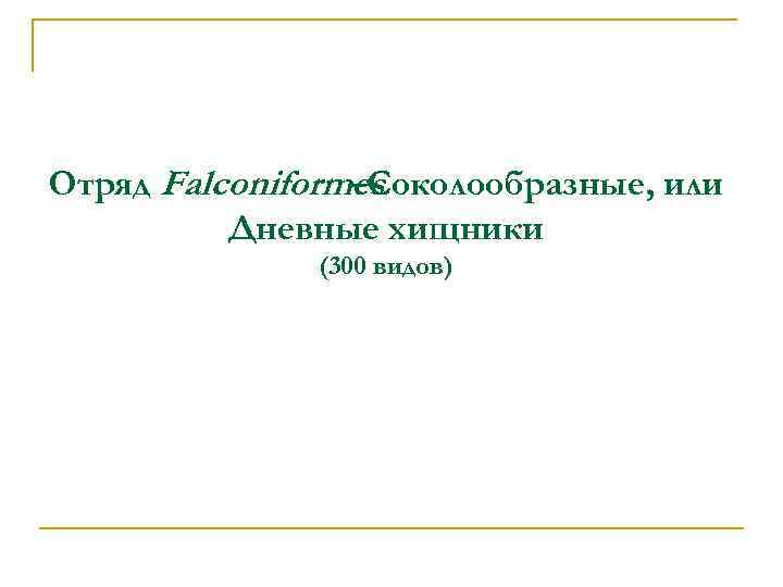 Отряд Falconiformes –Соколообразные, или Дневные хищники (300 видов) 