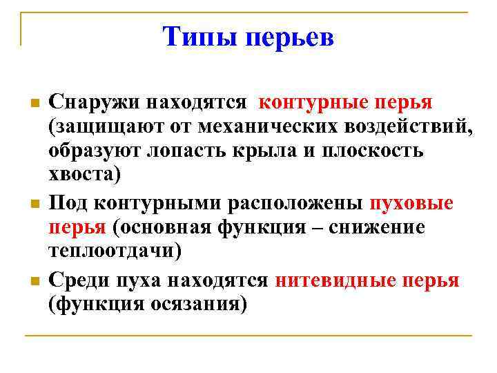 Типы перьев n n n Снаружи находятся контурные перья (защищают от механических воздействий, образуют