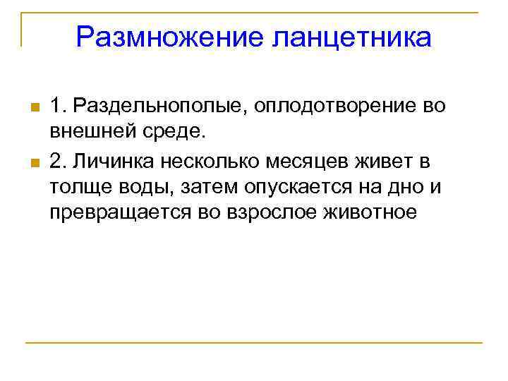 Размножение ланцетника n n 1. Раздельнополые, оплодотворение во внешней среде. 2. Личинка несколько месяцев