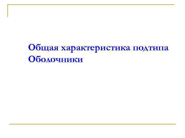 Общая характеристика подтипа Оболочники 