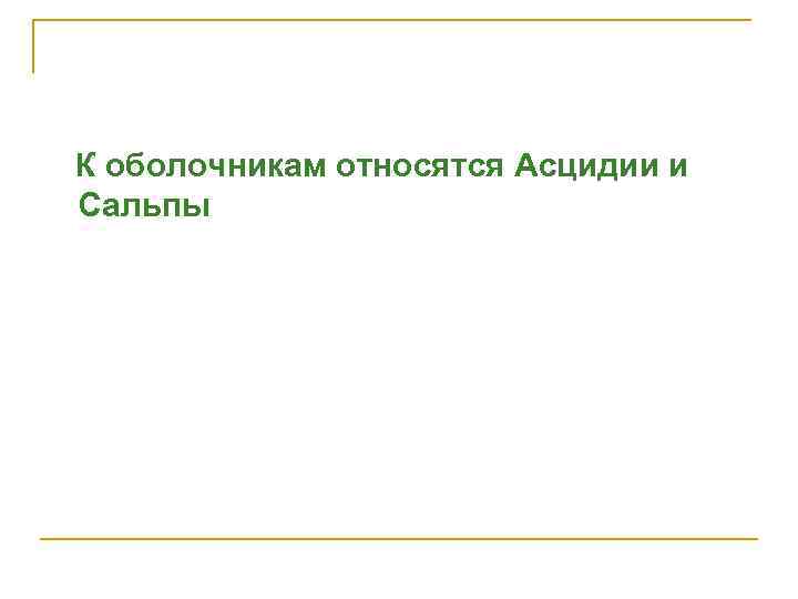 К оболочникам относятся Асцидии и Сальпы 