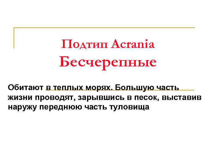 Подтип Acrania Бесчерепные Обитают в теплых морях. Большую часть жизни проводят, зарывшись в песок,