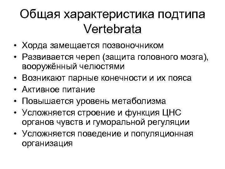 Общая характеристика подтипа Vertebrata • Хорда замещается позвоночником • Развивается череп (защита головного мозга),