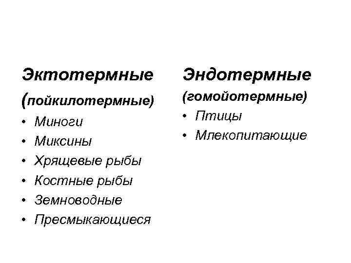 Эктотермные (пойкилотермные) • • • Миноги Миксины Хрящевые рыбы Костные рыбы Земноводные Пресмыкающиеся Эндотермные