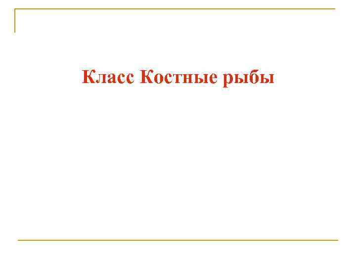 Класс Костные рыбы 
