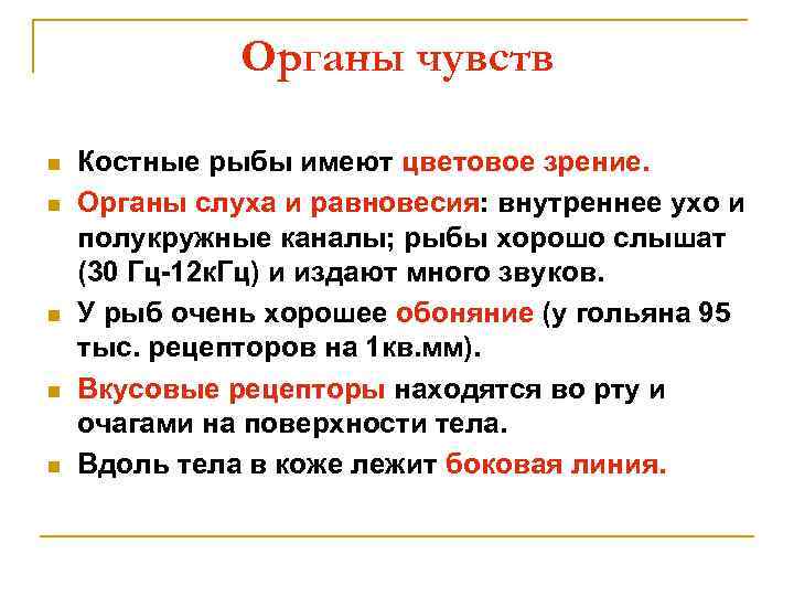 Органы чувств n n n Костные рыбы имеют цветовое зрение. Органы слуха и равновесия: