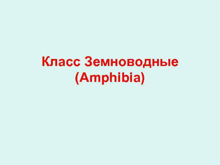 Класс Земноводные (Amphibia) 