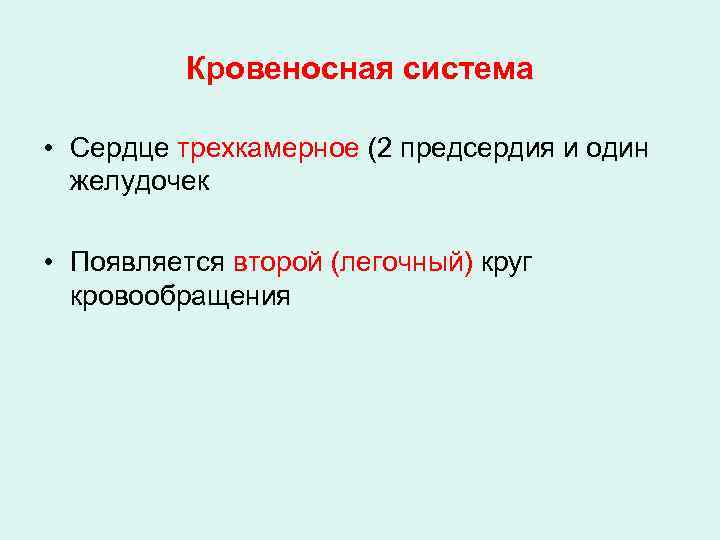 Кровеносная система • Сердце трехкамерное (2 предсердия и один желудочек • Появляется второй (легочный)