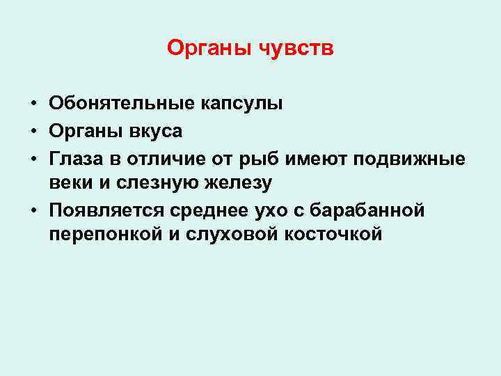 Органы чувств • Обонятельные капсулы • Органы вкуса • Глаза в отличие от рыб