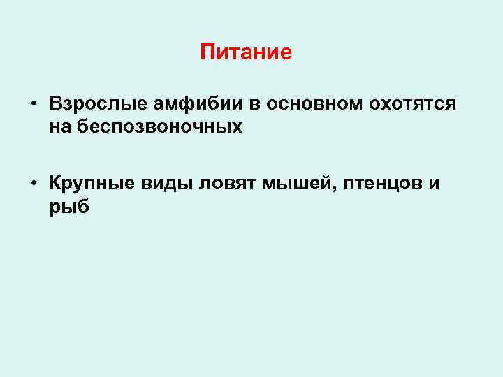 Питание • Взрослые амфибии в основном охотятся на беспозвоночных • Крупные виды ловят мышей,