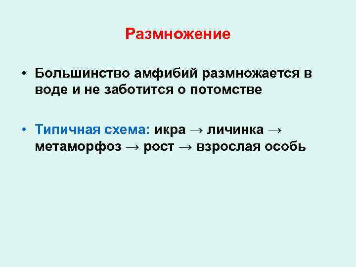Размножение • Большинство амфибий размножается в воде и не заботится о потомстве • Типичная