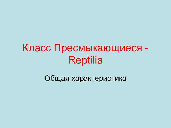 Класс Пресмыкающиеся Reptilia Общая характеристика 