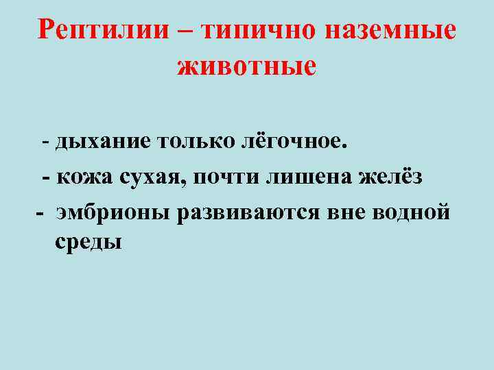 Рептилии – типично наземные животные - дыхание только лёгочное. - кожа сухая, почти лишена