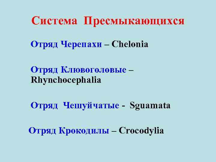 Система Пресмыкающихся Отряд Черепахи – Chelonia Отряд Клювоголовые – Rhynchocephalia Отряд Чешуйчатые - Sguamata