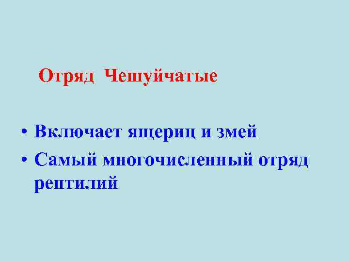 Отряд Чешуйчатые • Включает ящериц и змей • Самый многочисленный отряд рептилий 