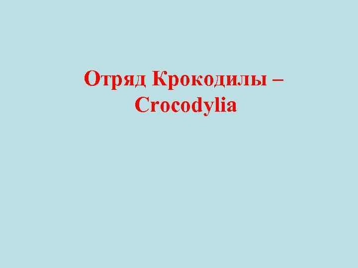 Отряд Крокодилы – Crocodylia 