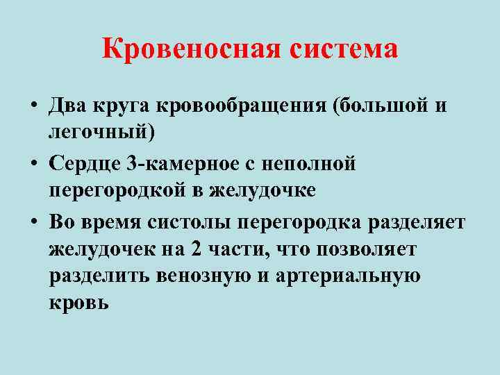 Кровеносная система • Два круга кровообращения (большой и легочный) • Сердце 3 -камерное с