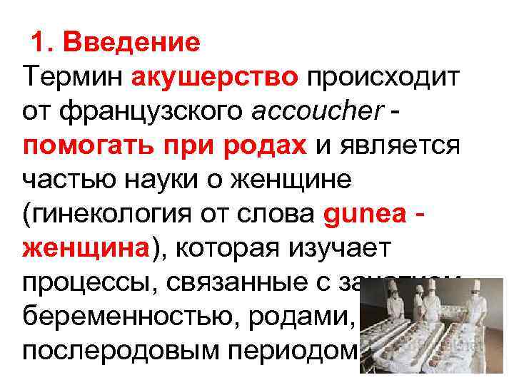 Терминология введение. Акушерская терминология. Основные понятия в акушерстве. Термины по акушерству.