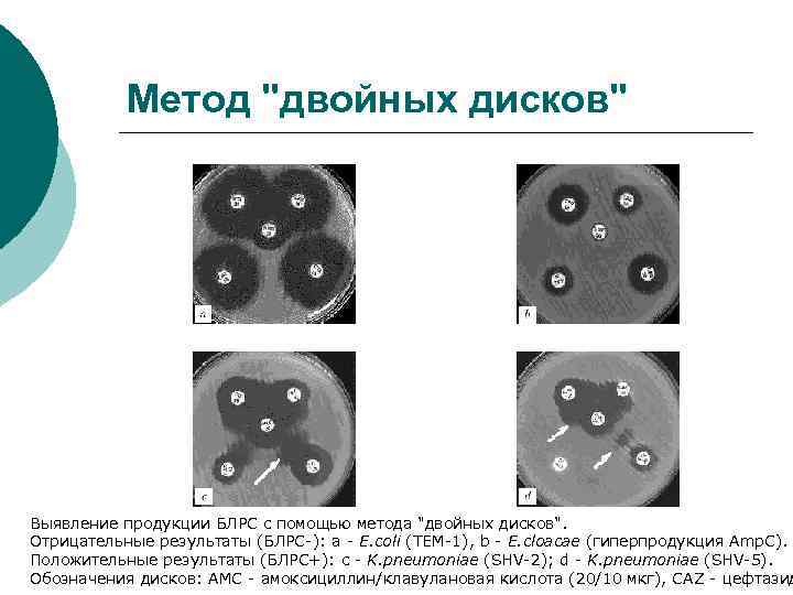 Метод "двойных дисков" Выявление продукции БЛРС с помощью метода "двойных дисков". Отрицательные результаты (БЛРС-):