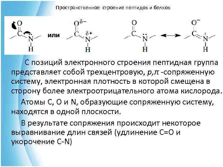 Структура пептидной связи