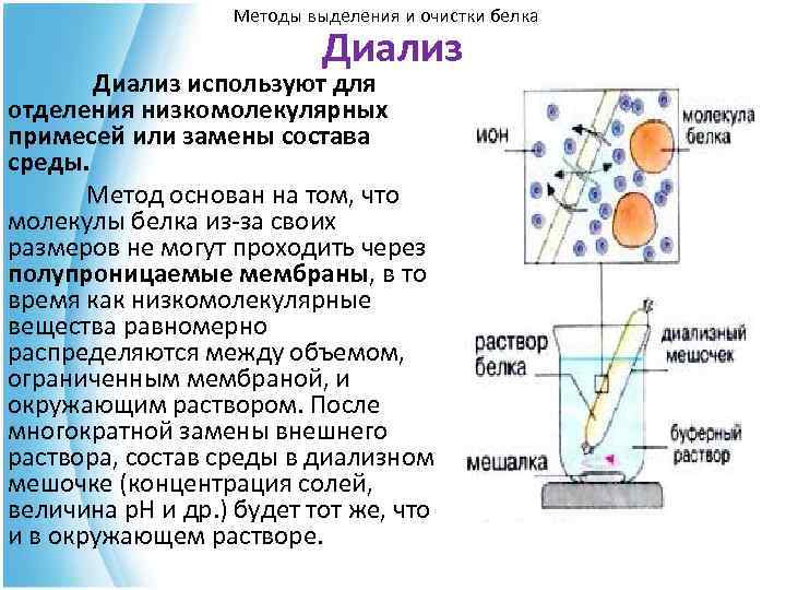 Методы выделения и очистки белка Диализ используют для отделения низкомолекулярных примесей или замены состава