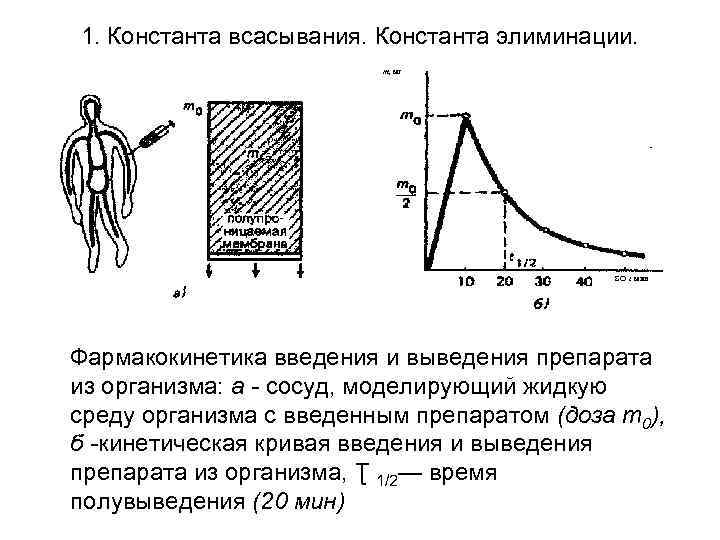 1. Константа всасывания. Константа элиминации. т, мг SO г. мин Фармакокинетика введения и выведения