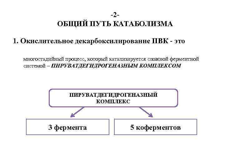 -2 ОБЩИЙ ПУТЬ КАТАБОЛИЗМА 1. Окислительное декарбоксилирование ПВК - это многостадийный процесс, который катализируется