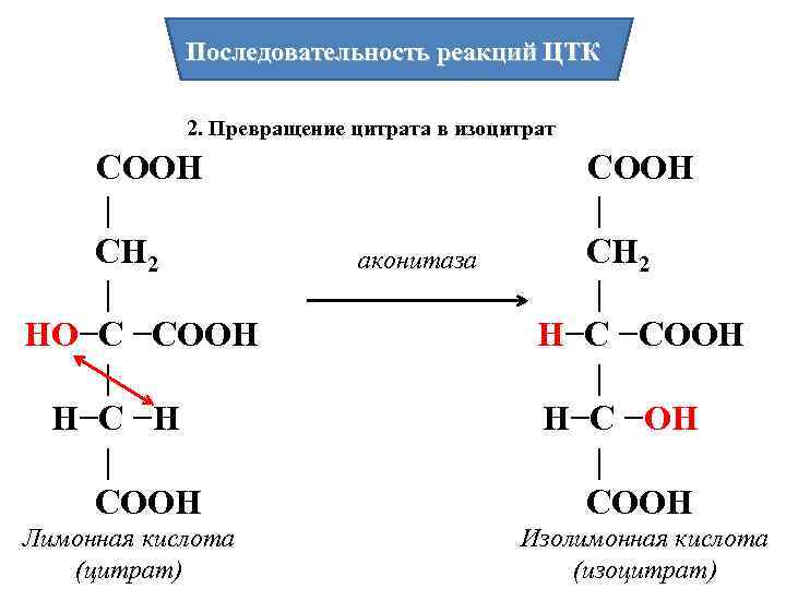 Последовательность реакций ЦТК 2. Превращение цитрата в изоцитрат СООН | СН 2 | НО−С