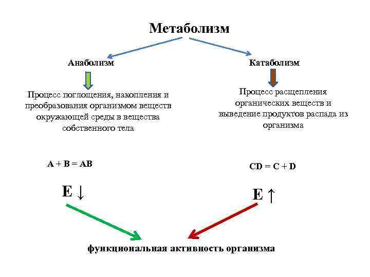 Анаболизм вк машин