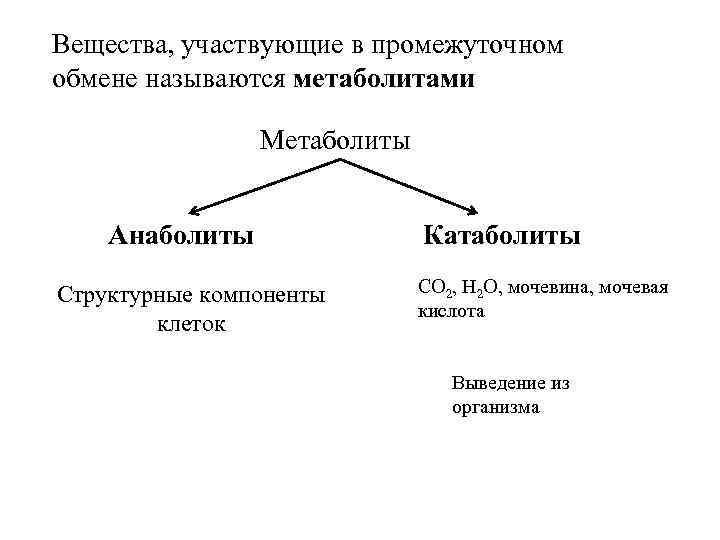 Вещества, участвующие в промежуточном обмене называются метаболитами Метаболиты Анаболиты Структурные компоненты клеток Катаболиты СО
