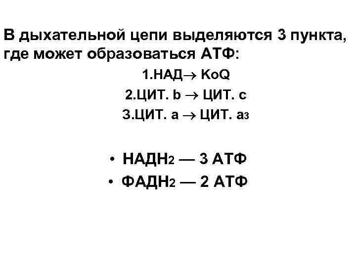 В дыхательной цепи выделяются 3 пункта, где может образоваться АТФ: 1. НАД Kо. Q
