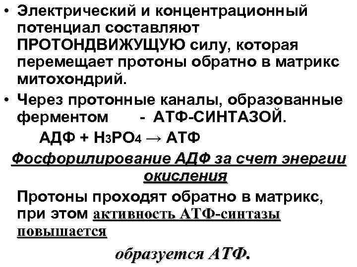  • Электрический и концентрационный потенциал составляют ПРОТОНДВИЖУЩУЮ силу, которая перемещает протоны обратно в