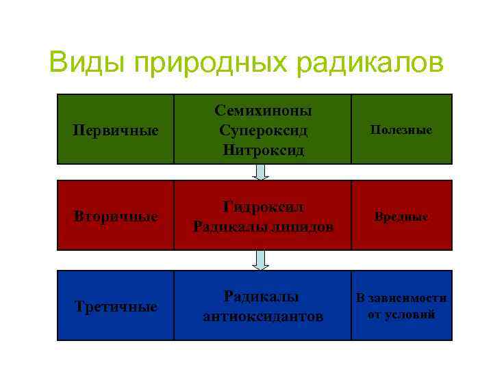 Виды природных радикалов Первичные Семихиноны Супероксид Нитроксид Полезные Вторичные Гидроксил Радикалы липидов Вредные Третичные