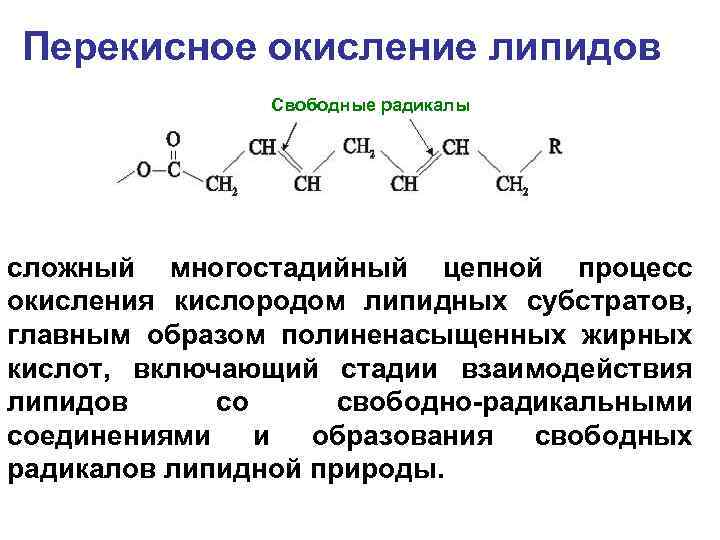 Перекисное окисление липидов Свободные радикалы сложный многостадийный цепной процесс окисления кислородом липидных субстратов, главным