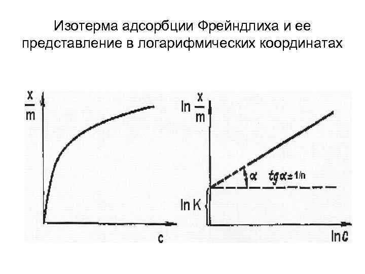 Изотерма адсорбции. Уравнение Фрейндлиха для адсорбции график. Изотерма Фрейндлиха. Изотермы адсорбции Фрейндлиха. Логарифмическая изотерма адсорбции.