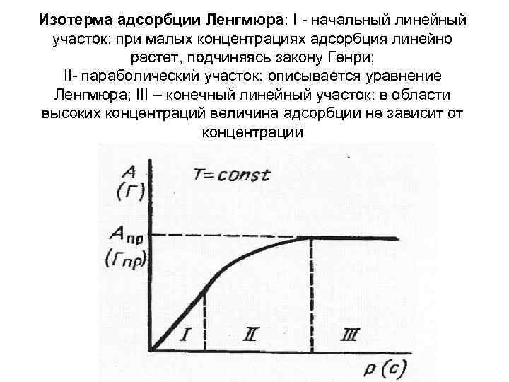 Изотерма адсорбции Ленгмюра: I - начальный линейный участок: при малых концентрациях адсорбция линейно растет,
