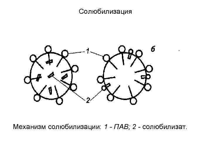 Солюбилизация . Механизм солюбилизации: 1 - ПАВ; 2 - солюбилизат. 