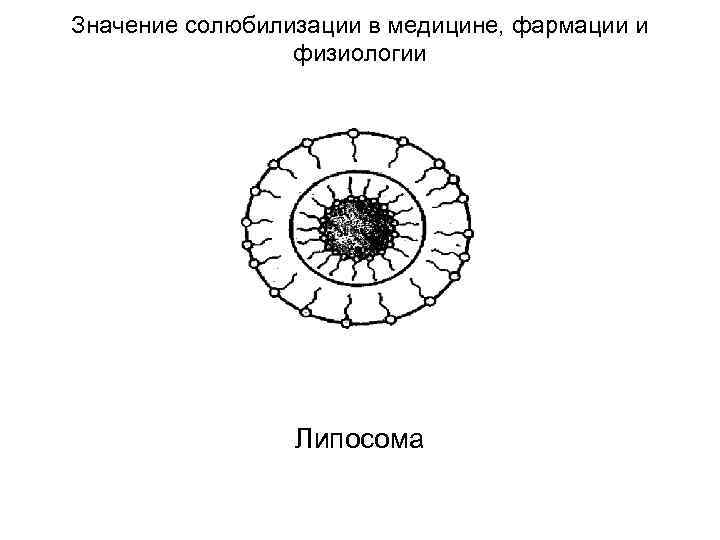 Значение солюбилизации в медицине, фармации и физиологии Липосома 