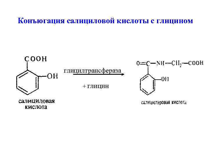 Конъюгация салициловой кислоты с глицином глицилтрансфераза + глицин 