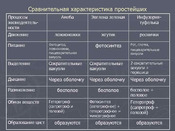 Сравнительная характеристика простейших Процессы жизнедеятельности Движение Амеба Эвглена зеленая Инфузориятуфелька ложноножки жгутик реснички фотосинтез