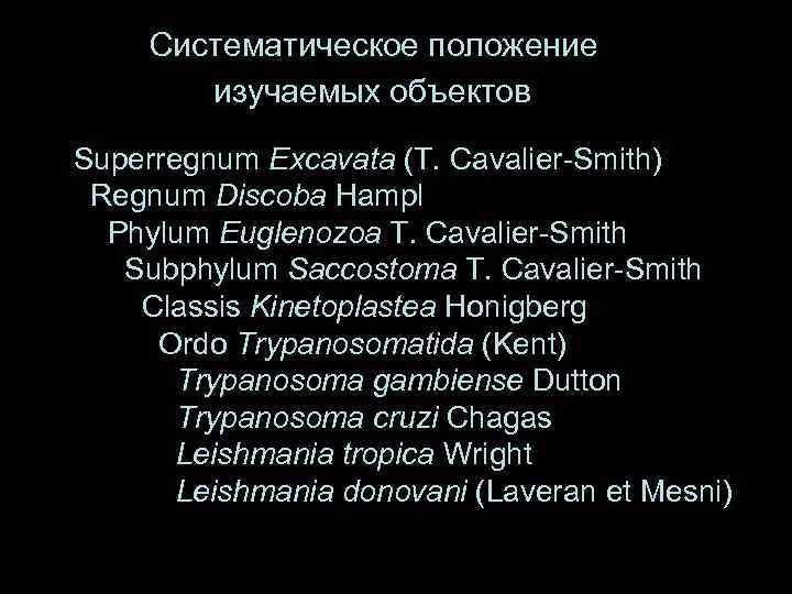 Систематическое положение изучаемых объектов Superregnum Excavata (T. Cavalier-Smith) Regnum Discoba Hampl Phylum Euglenozoa T.