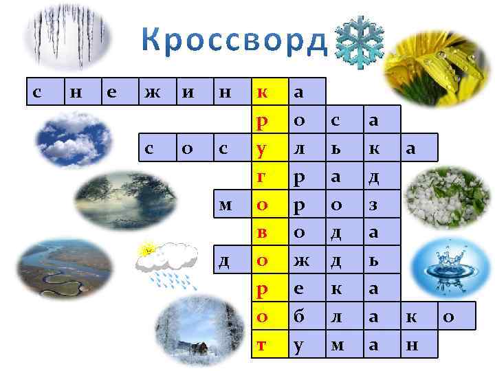 с н е ж с и о н с м д к р у