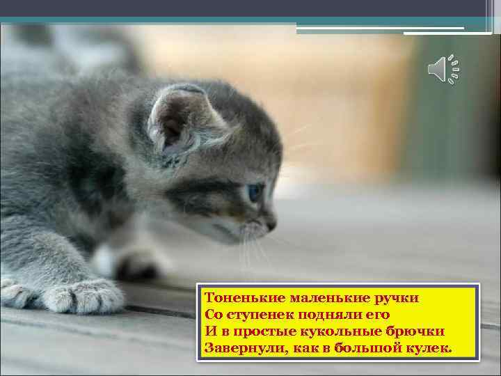 Тоненькие маленькие ручки Со ступенек подняли его И в простые кукольные брючки Завернули, как