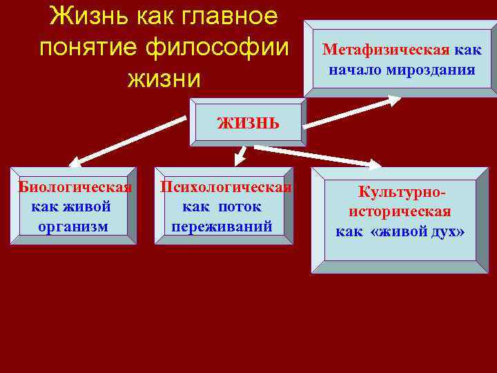 Жизнь как главное понятие философии жизни Метафизическая как начало мироздания ЖИЗНЬ Биологическая как живой